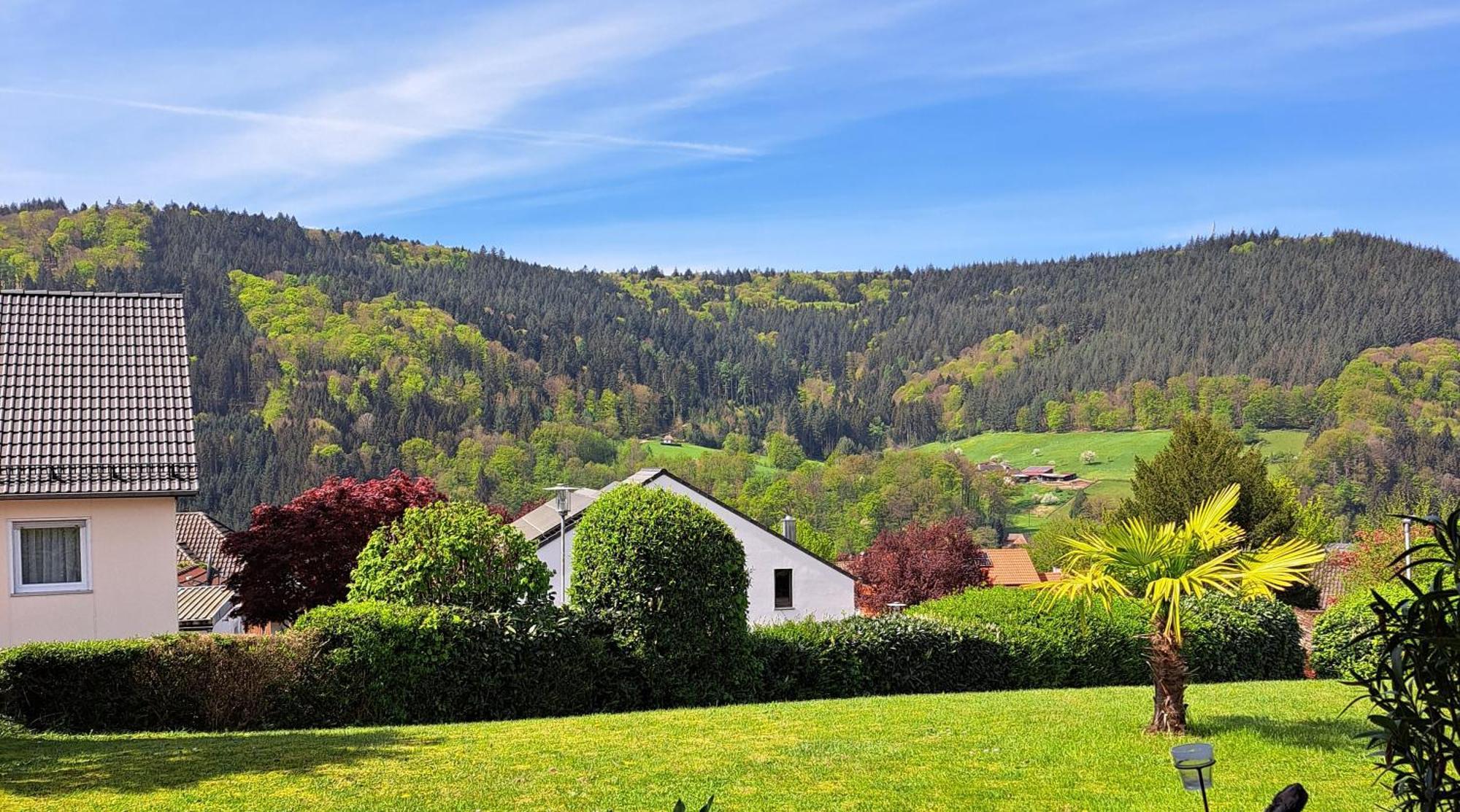 Seelenbaumler Seelbach  Exterior foto